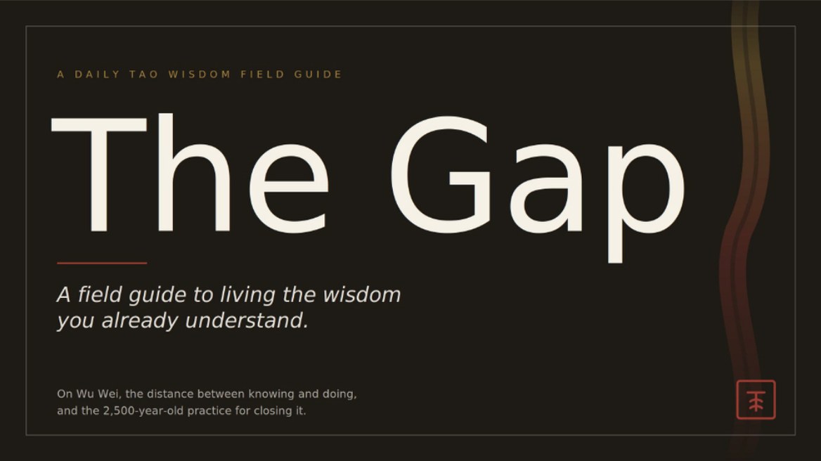 Cover of The Gap, a Daily Tao Wisdom field guide